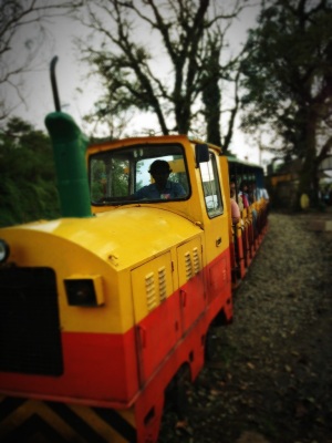 The Toy Train outside the Raja's Seat